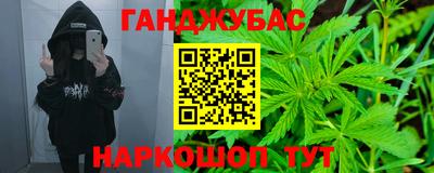 индика Брянск