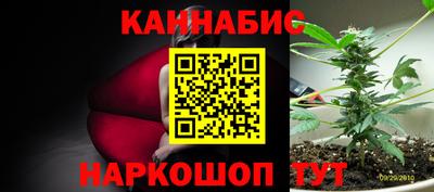 индика Брянск