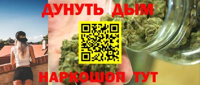 индика Брянск