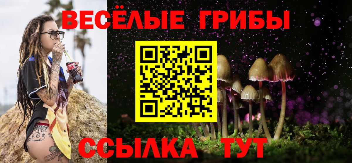 Галлюциногенные грибы мицелий Выкса