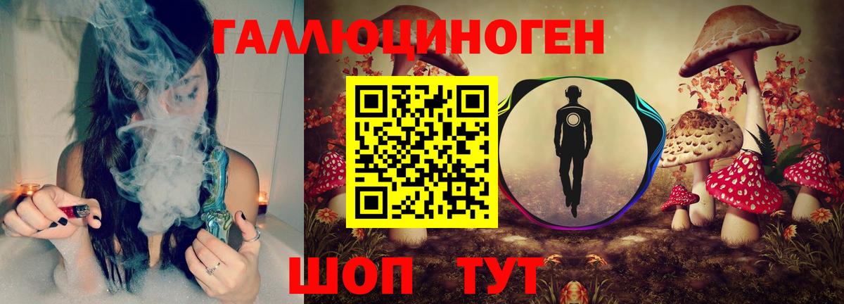 Псилоцибиновые грибы Psilocybe  Галлюциногенные грибы GOLDEN TEACHER  Выкса  Вход с VPN 